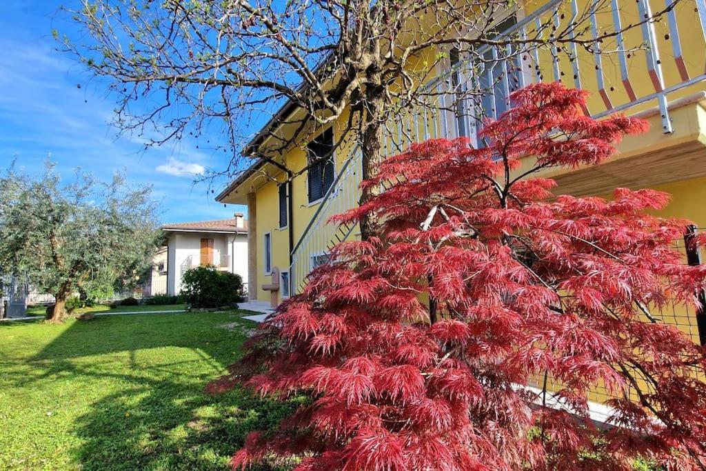 Ca' Degli Ulivi Apartment Caprino Veronese Bagian luar foto